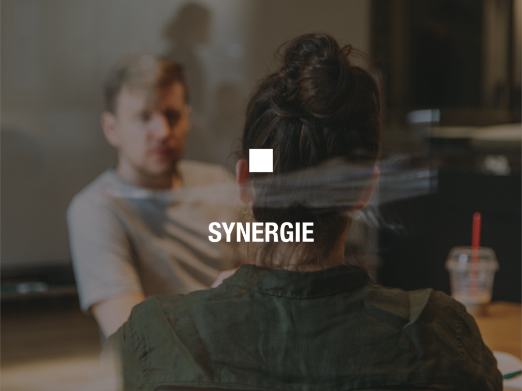 synergie project apiumhub